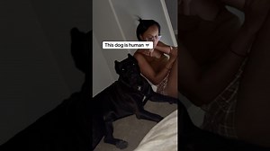 Dog acts human in the most ridiculous ways