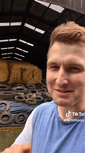 A Day in the Life of a Farmer 🚜🌱 #FarmingLife # | FarmTheory7.1