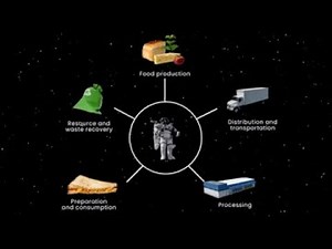 Things to Know about the Space Foods