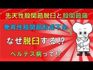 Congenital hip dislocation and hip pain: Perthes disease? Reasons for dislocation and prevention ...