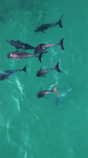 Sustainable Cooking | Powered by the Sun