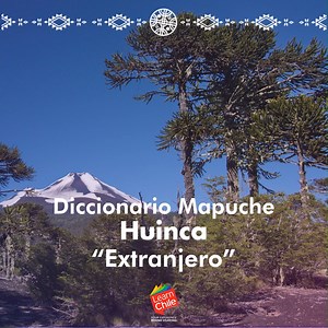 El pueblo mapuche es parte esencial de la historia y raíces de Chile. Habitan la Araucanía y su lengua originaria es el mapudungun. Huinca significa extranjero y representa a alguien no perteneciente a la zona propia de los araucanos. | LearnChile