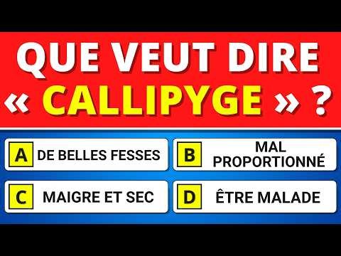 Can you guess the meaning of these 40 difficult French words? 🤔 | Vocabulary Quiz