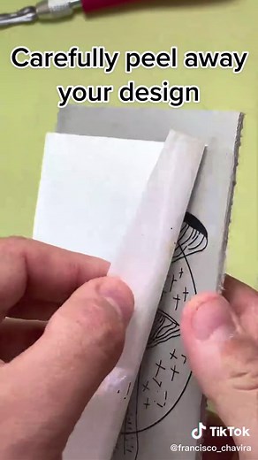 Francisco Chavira on TikTok