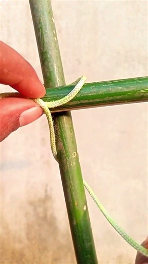 Using this knot gives you a 100% guarantee!