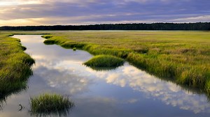 Biomes: Life in the Balance - Smithsonian Gardens