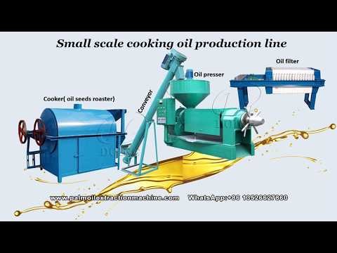 Small Scale Cooking Oil Making Line | Low Cost Sunflower Soybean Oil Press Plant for Startup