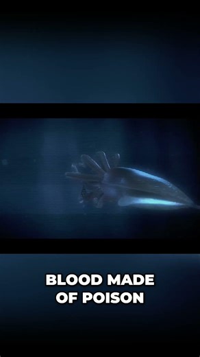 Ancient Survivor: This Animal Outlived Dinosaurs! #shorts