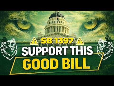 Mountain Lion Program Gets Major Upgrade Under this Returning Bill