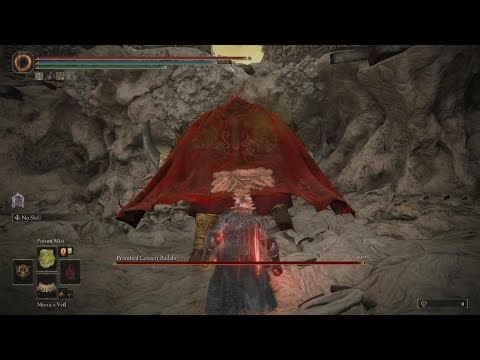 2025 Consort Radahn cheese