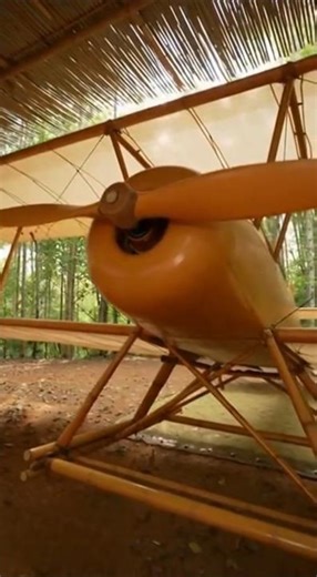 airplane made from wood #woodscraft #woodart #woodcraft #airplane