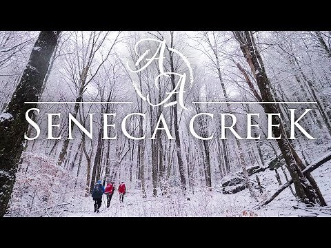 Seneca Creek Snowstorm 4K | Winter Blizzard Camping & Hiking in West Virginia