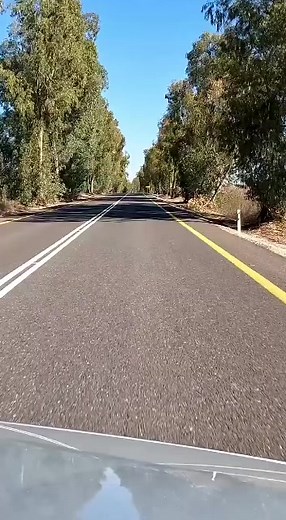 We love a good road trip and the amazing white winter view of the Golan! ❄️#visitgolan #golan #mount hermon #snow #israel�� @yaronaz