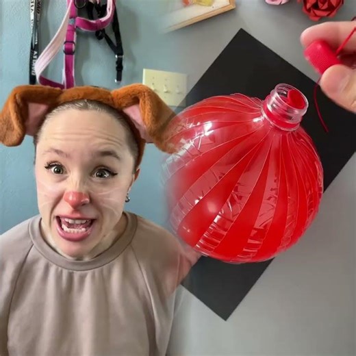 POV dogs when they see an open door