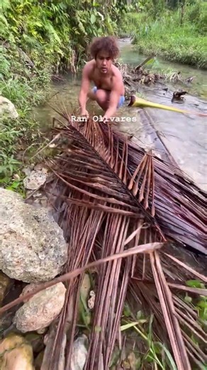 Catfish trap #fishing #freshwaterfish #carpfishing #fishspecies #fishingvideo #fish #carpfish