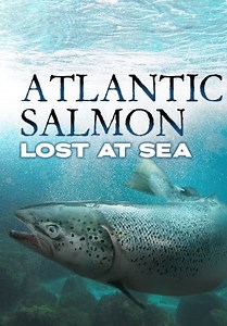 Atlantic Salmon: Lost at Sea (2018)