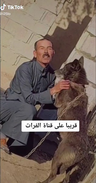 ابو مقتدى الصياد على TikTok