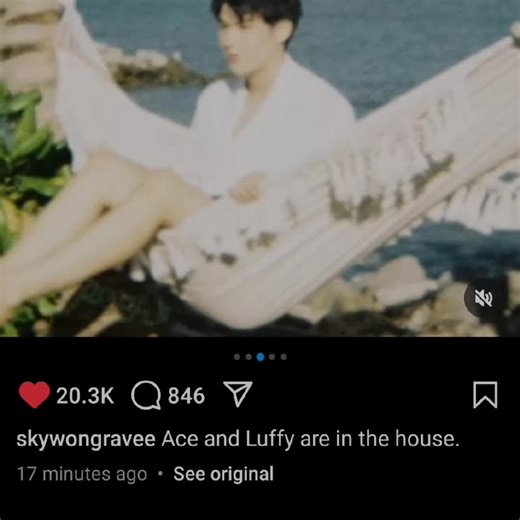 Ace and Luffy: Exploring One Piece Characters Together