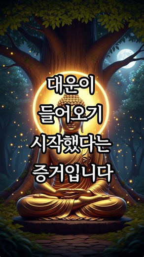자식이 잘될때 보이는 변화#마음고요 #자식운 #자식걱정 #불교 #법문 #대운이들어오는징조 #인연법#업장소멸 #기도문 #수면명상 #관세음보살 #운이풀리는신호#부모마음