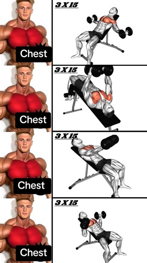‎Get RIPPED CHEST MUSCLES with This COMPREHENSIVE Workout Routine! #Exercise #workout #Chest #Gymm