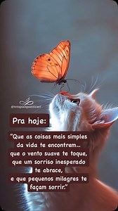 229K views · 58 reactions | Às vezes, é nas pequenas coisas que a...