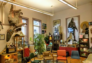 "15 Bizarre Museums to Add to Your Next US Road Trip"