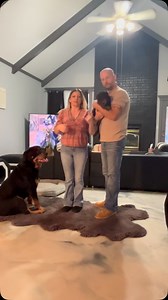 Our first update from Bear in his new home!!!!! Thanks for this update….. We do our best to communicate with our families and pair them with the right pup! #5starexperience #rott #rottweiler #rottweilers #rottiesofinstagram #rotweiler #rottie #rött #rottweilers_of_instagram #rottweilerpuppy #rottweiler_feature #rottweiler_lovers | S&S Kennels Rottweilers & More