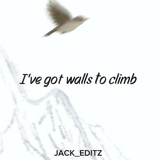 Mollie Elizabeth - run rabbit (lyrics ) animation #capcut #haveitoldyoulatelythatiloveyou