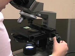 Microscope