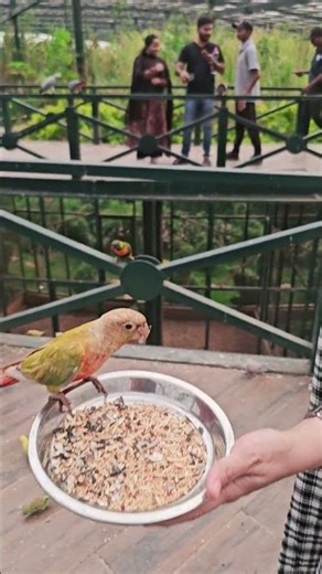 world’s largest walk-through aviaries