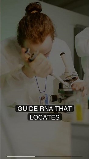 How CRISPR-Cas9 Edits Your DNA Like Scissors