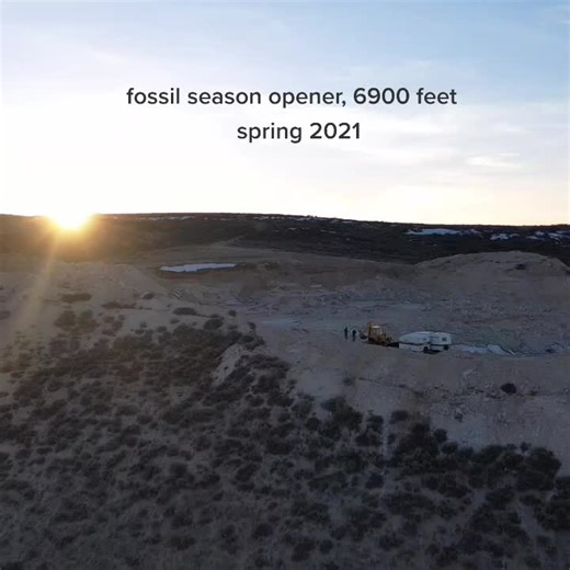#quarry #fossilrock #FreeFreeDance #explore #wyoming #trending #wy #geology #paleontology #fossil #fossils #tiktok #fyp #driven #drone #explore #dream