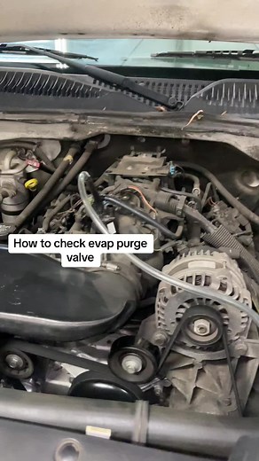 #chevy#2002#2003#2004#2005#2006#2007#purgevalve#evap#p0496#solenoid#Splice