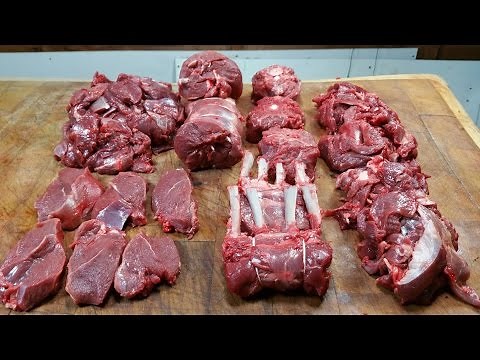 How To Butcher A Shoulder Of Venison. #SRP