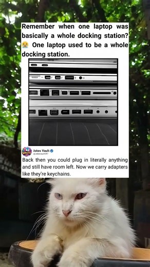 Old Laptops Had Every Port—Now It’s Adapter Time