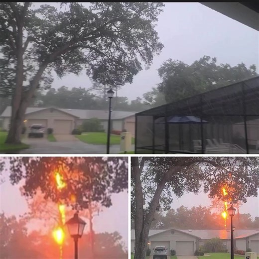 WEATHER: As the afternoon thunderstorms passed through New Port Richey Friday afternoon, Randolph Spencer caught this amazing lightning strike in the area of SR-54 and Little Road. Thank you for the photo and video! Feel free to message us with content you capture anytime! | Pasco News