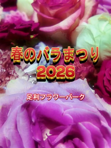 あしかがフラワーパーク 春のバラまつり2026 日帰りバスツアーガイド