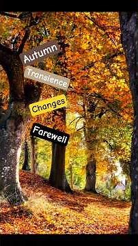 Bunt sind schon die Wälder ~ Hannes Wader