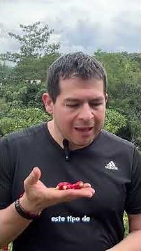 EL AJI PUEDE AYUDAR A QUITAR LA GRIPA