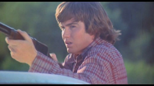 The Giant Spider Invasion (1975)