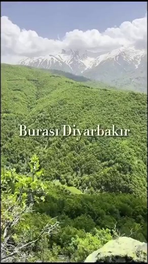 Burası Diyarbakır ile Muş arasında kalan pkk terör örgütünün Türkiye içinde asla vazgeçmeyeceği başlıca yerlerden olan Şenyayla bölgesi.Bu meşe denizlerinin içinde her yer ölüm kokar ve Kahraman Türk çocukları kırk yıldır buralarda pkk'lı teröristlerin üzerine ölüm olur yağar.Evvelce gidenlerin asil ruhları şad olsun!