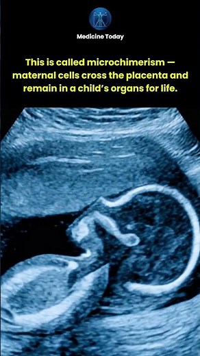 How a Mother’s Cells Can Stay in Her Child’s Body for Years.mp4