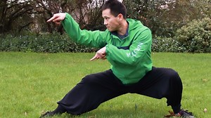 Kung Fu Praying Mantis Style Session 1 - Shaolin Kung-Fu Like this tutorial ? Here you can watch more tutorials: https://www.patreon.com/mastersongkungfu #kungfumaster #kungfulife #kungfu #wushu #taichi #taichimaster #qigong #martialarts #shaolinkungfu #kickboxing | Master Song Kung Fu