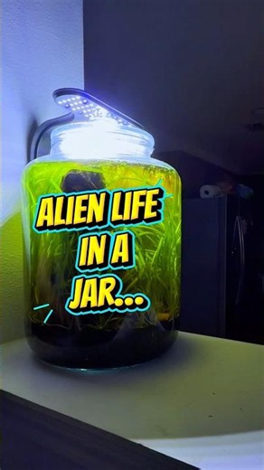 👽 ALIEN LIFE in a JAR?!🦐