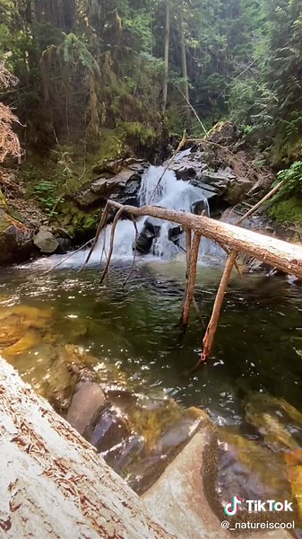 Discover Snow Creek Falls near Sandpoint, Idaho