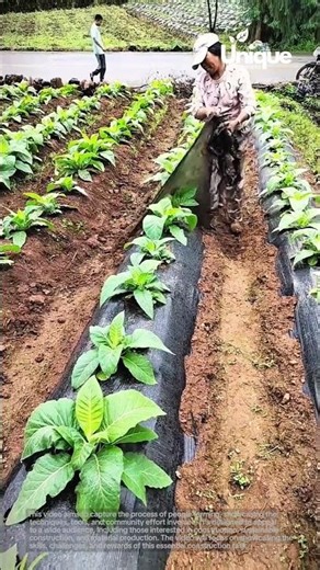 Farming for beginners: a simple guide to farming