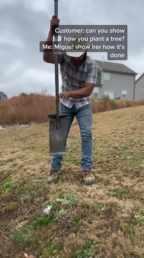 How we plant trees #OverwatchMe #foryou #landscape #landscaping #drainage #treework #trees #tree