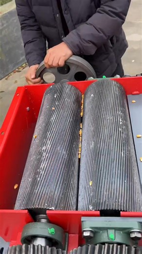 Corn cracker #corn cracker #sheep farming #feed processing # fattening sheep | New Tecnology