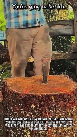 Knotty pine vs. wedge, who wins? #worker #process #versus #logsplitting #handtool