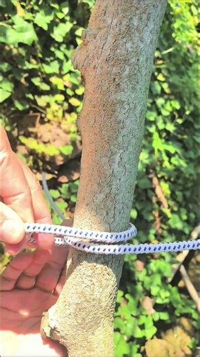 Never Climb Without This! The Ultimate Construction Hack